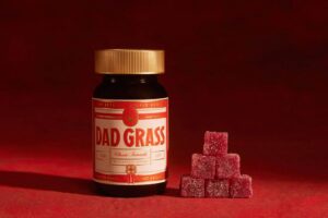 Private Label Gummies Scaled a Brand: Real Story — Photo via Pexels