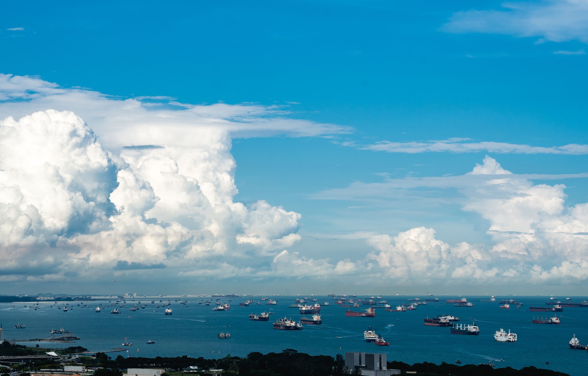 Shipping Supplements to Singapore: OEM Guide | Malaysia — Photo via Pexels